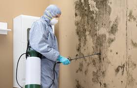 Forensic Mold Investigation in Americus, GA